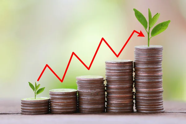 Inversiones de desarrollo sostenible
