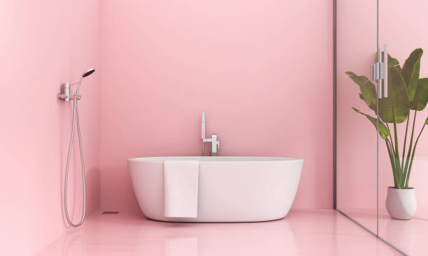 Baño rosa con regadera 